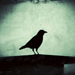 Corbeau